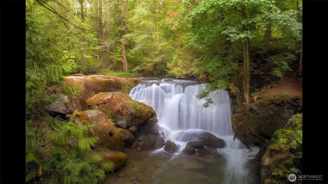 Whatcom Falls Park