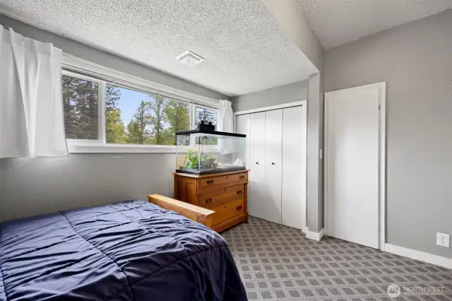 There are two closets in this bedroom.