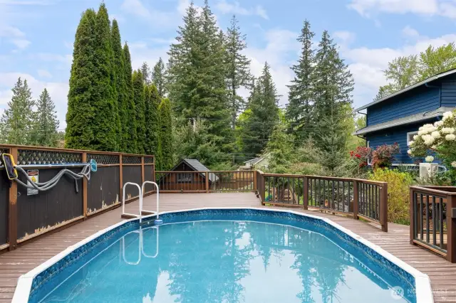 The pool is ready for a party! It gets full sunshine, too!
