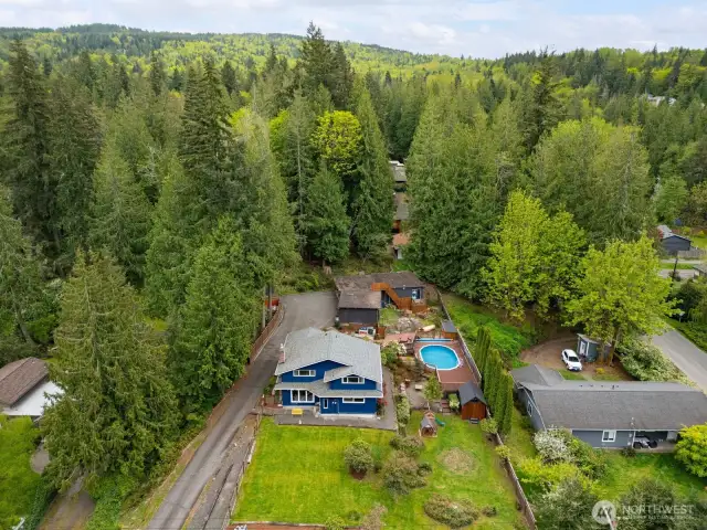 Another view showing the towering evergreens in the Ted Edwards Park beyond the home.