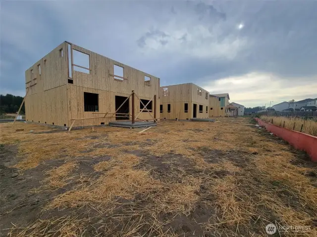 large back yard