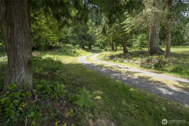 Driveway to property