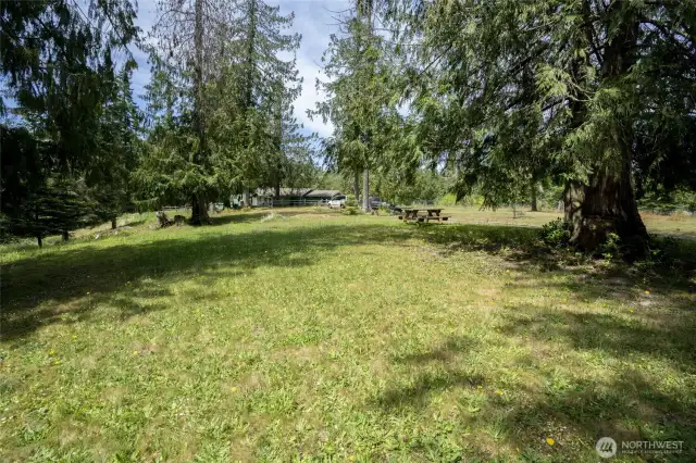 Perfect place for a picnic