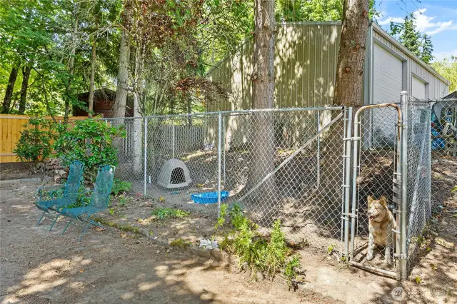 The dog run/kennel is ready for your furry friends!