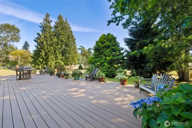 Back Deck