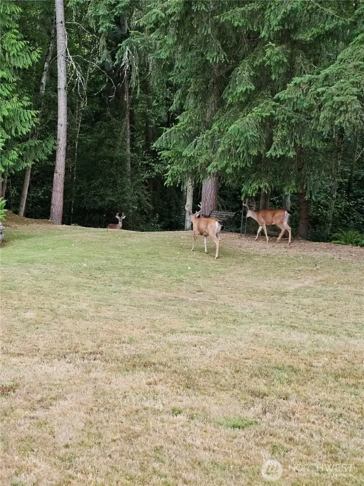 Quiet Neighbors