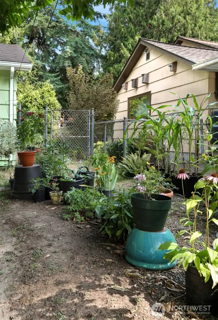 Gate to fully fenced back yard.