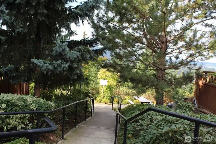 One of many community trails