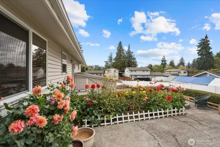 These and more perennial flowers are planted throughout yard
