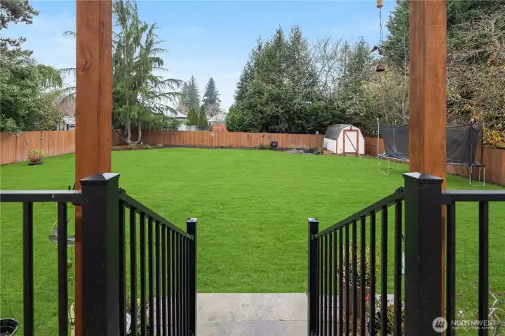 Large back yard