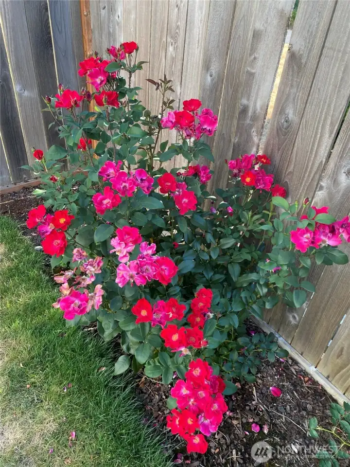 Pops of color everywhere!