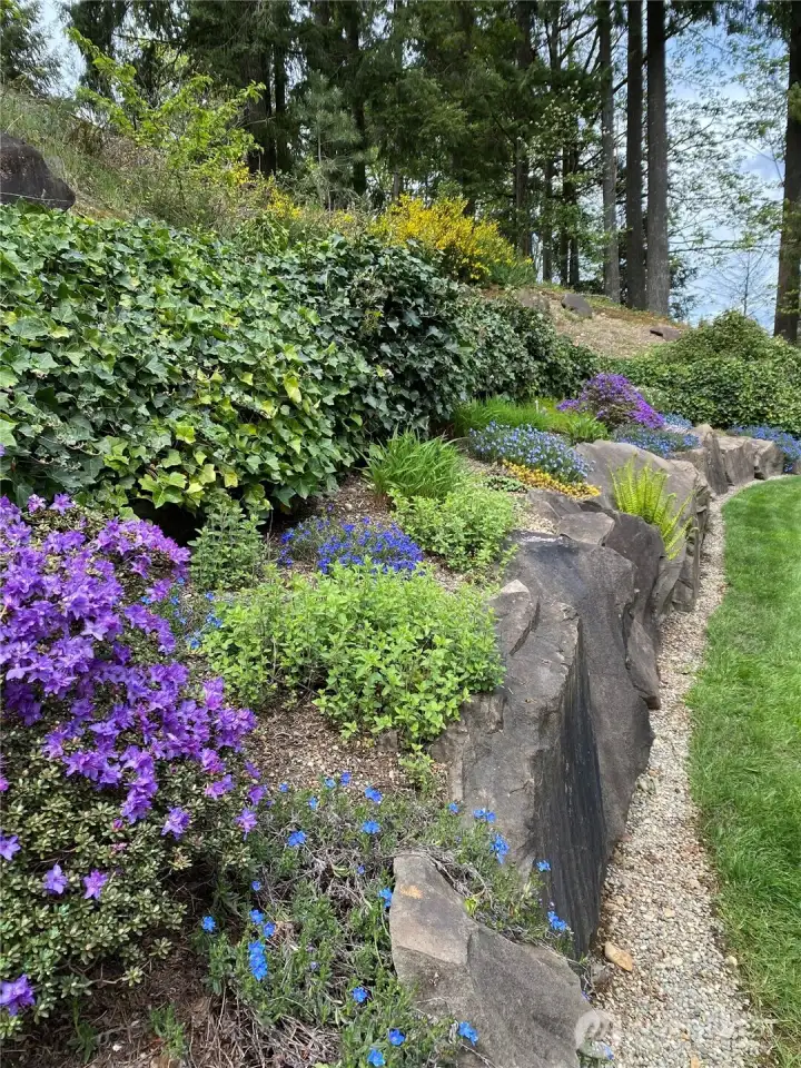 Terraced garden full of lots of stunning plants!