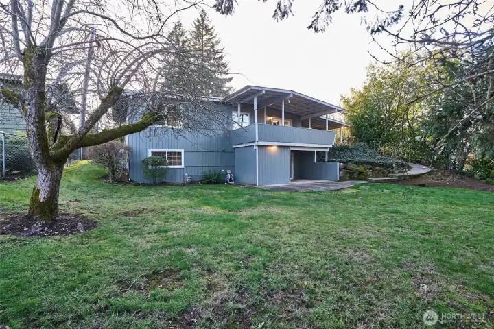 View of the Backyard.