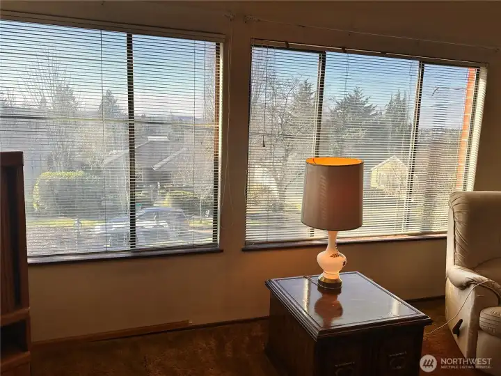 These aluminium windows are 50 years old and the seals have failed, but  Did you know that repairing faiiled seals can be a DYI job costing a fraction of actual replacement.  This is sweat equity with a big pay off!