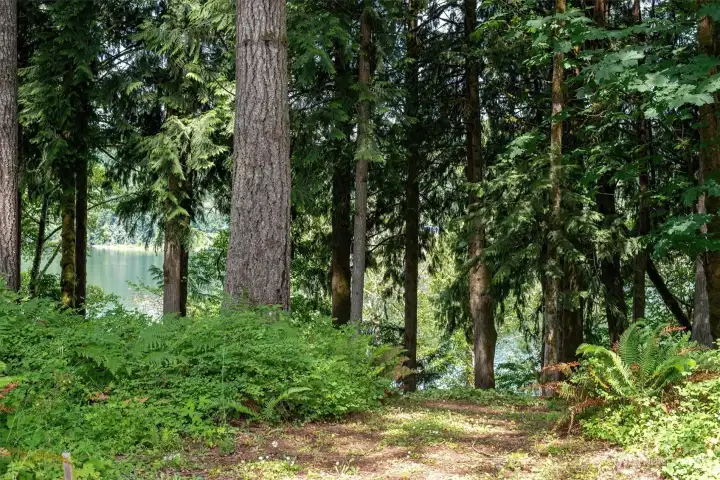 Back of property looking out to the lake