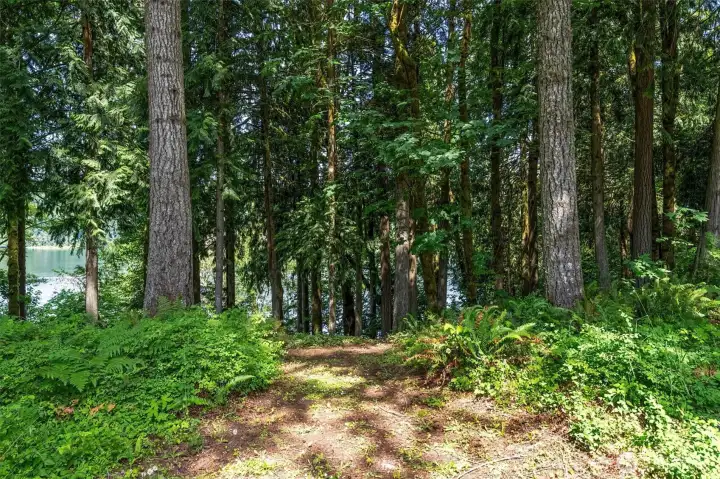 Make a switch back trail to the lake