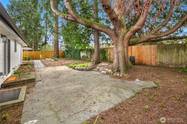 Expansive tree filled fully fenced backyard with loads of entertaining space.
