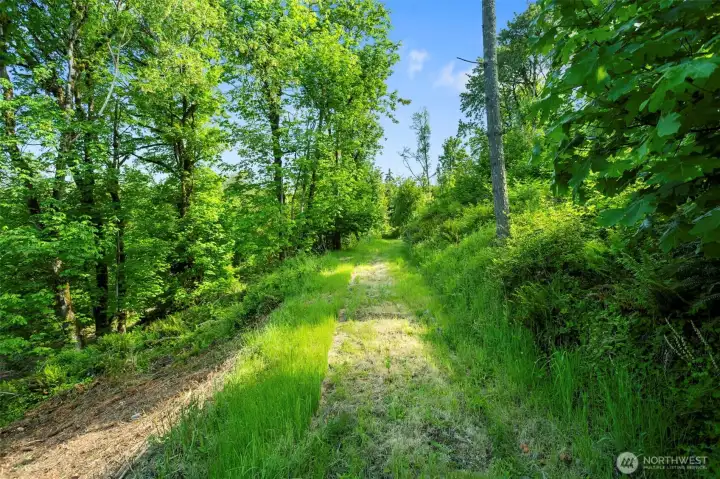 Trail to Second Build Site