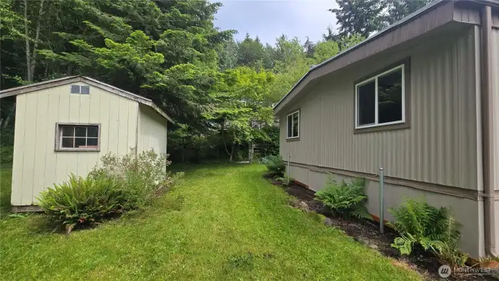 The back of the home