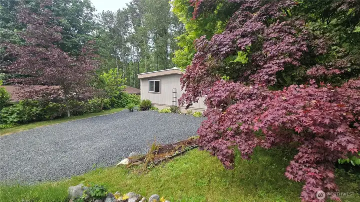 Ornamental trees add color throughout the year