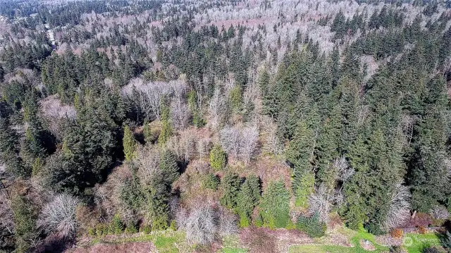 Aerial View of Area