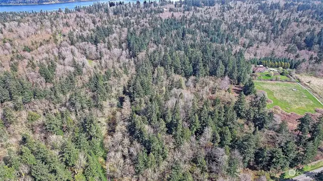 Aerial View of Area