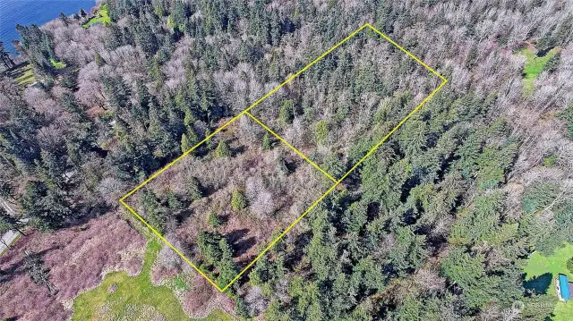 Aerial View of Area