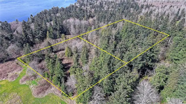 Aerial View of Area an location