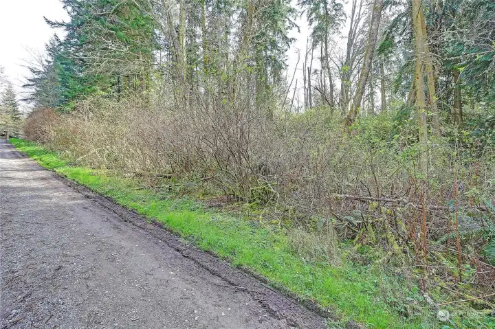 Street View off Amber Lane