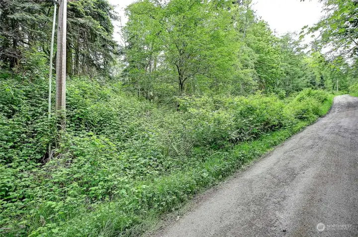 Street View off Amber Lane