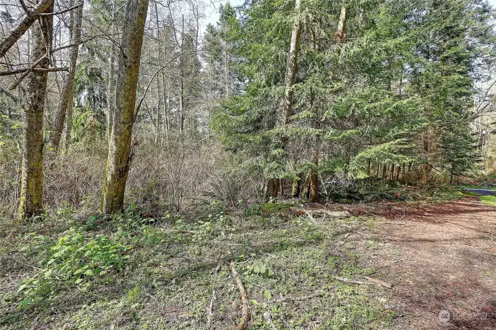 Street View off side road from Amber Lane (no name)