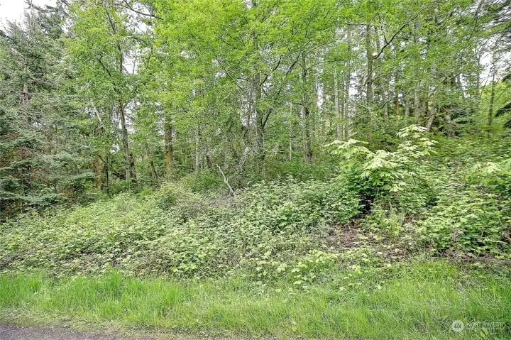 Street View off side road from Amber Lane (no name)