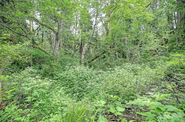 Street View off side road from Amber Lane (no name)