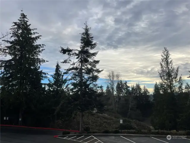 Peaceful outlook from the front of the condo.