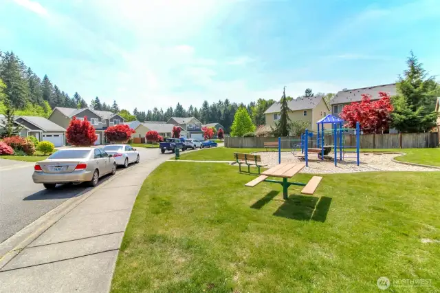 Great community park across the street!