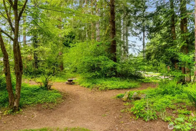 Trail to golf course