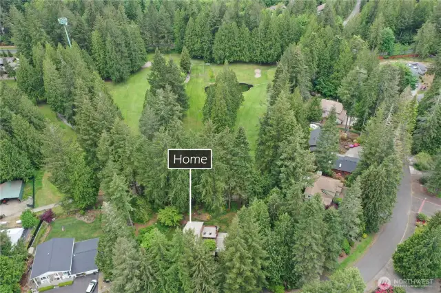 Home tucked amongst the trees