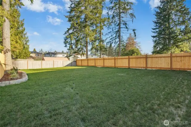 Huge backyard. This is unit A backyard, unit B backyard is almost identical
