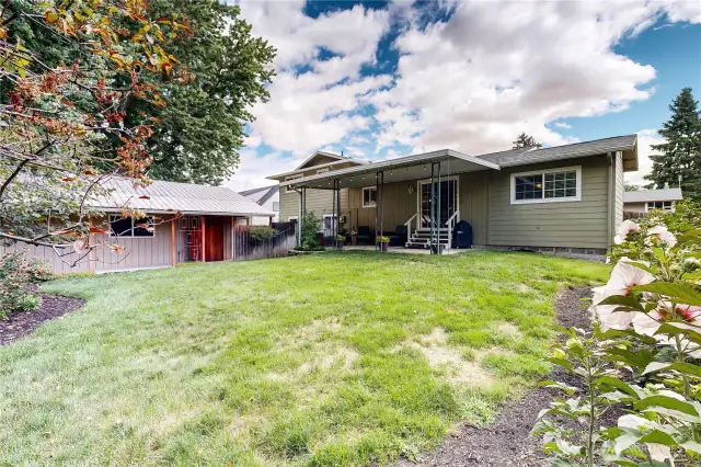 Backyard with underground sprinklers