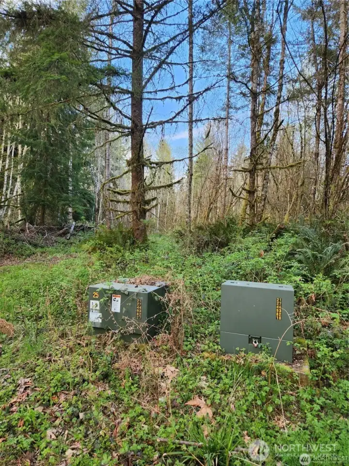 Electrical at street near property