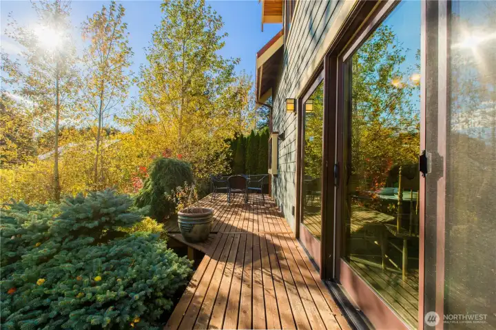 Deck off living room