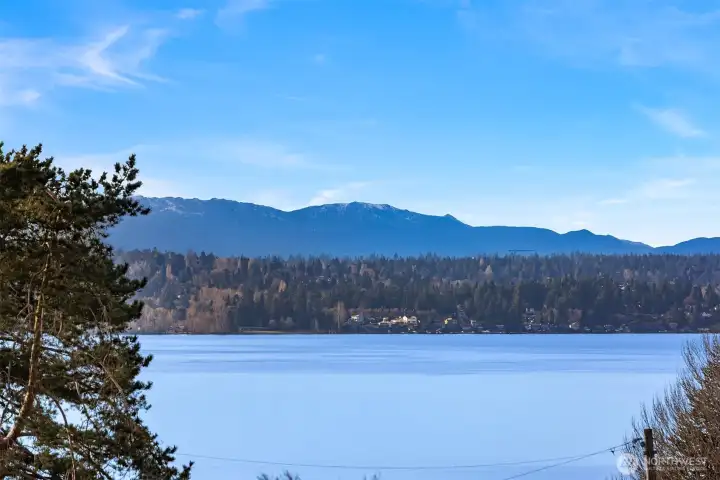 Olympic mountain views too!