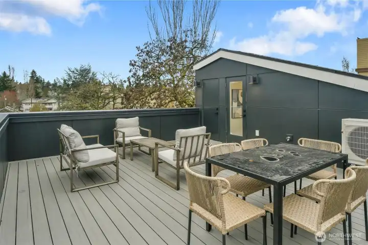 Expansive Roof top deck