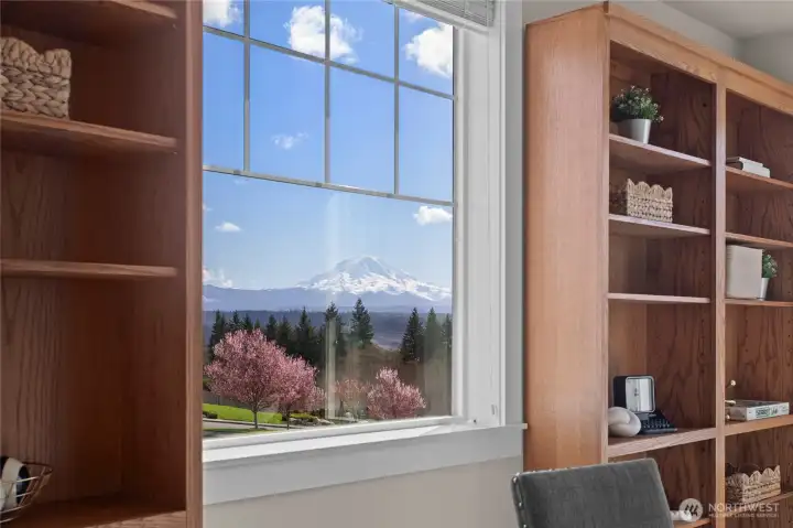 Mountain view from office