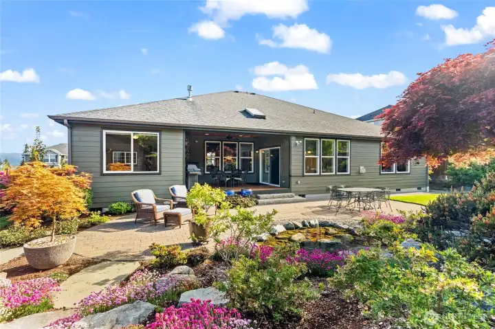 Photo of backyard from last year when in bloom