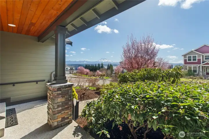 View from front porch