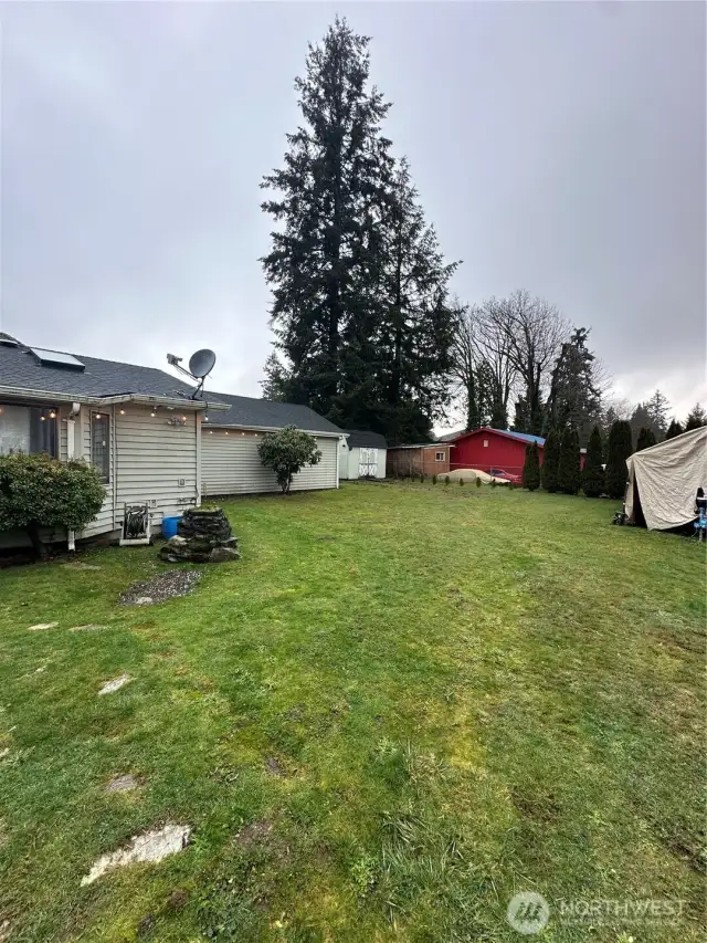 Oversized back yard