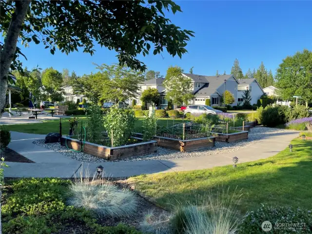 Large Community Garden Space for your green thumb