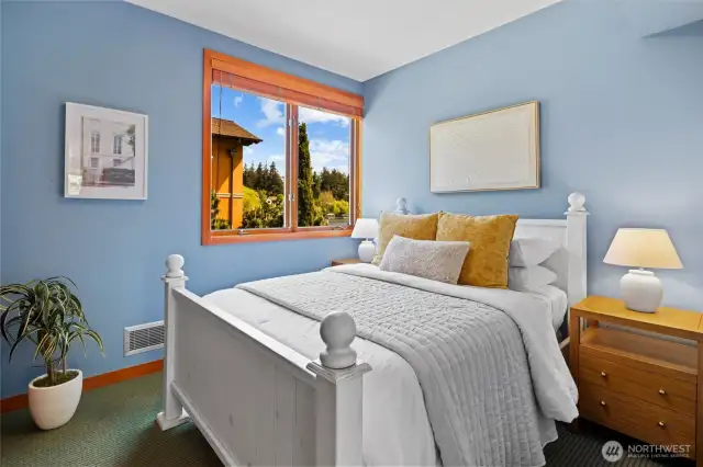 Lower level bedroom
