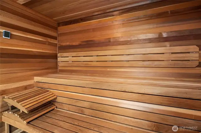 Lower level sauna
